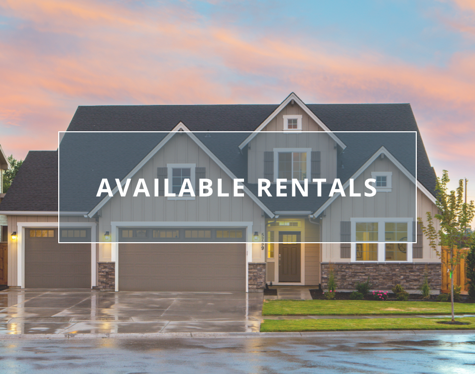 available rentals